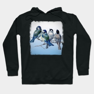 Vintage Bluebirds Hoodie